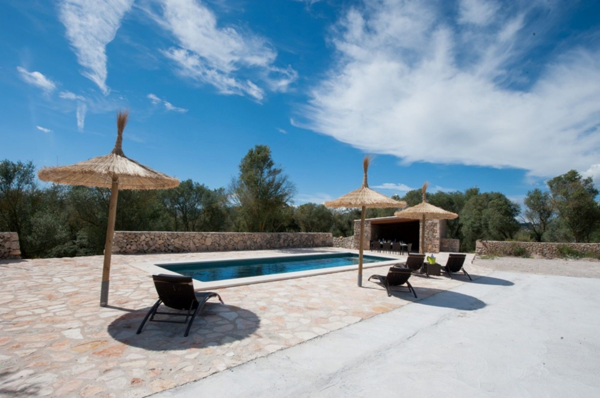 Villa Son Veny *